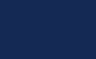 969-58 Navy Blue Swatch